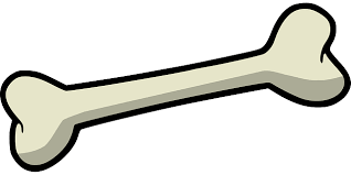 IMG 1378.png