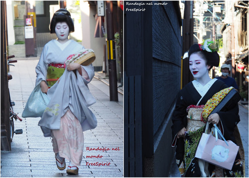 geisha2.jpg