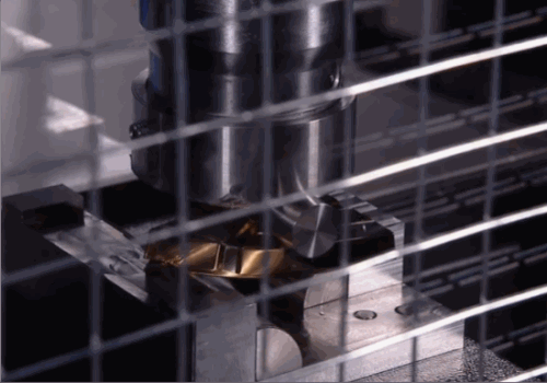 IMG 7134.gif