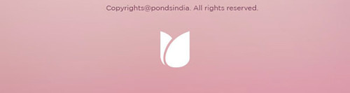 footer.jpg