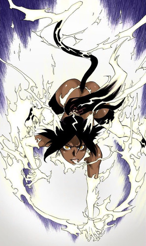 Yoruichi Shihōin Bleach.jpg