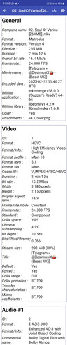 Screenshot 20240616 203004 MediaInfo.jpg
