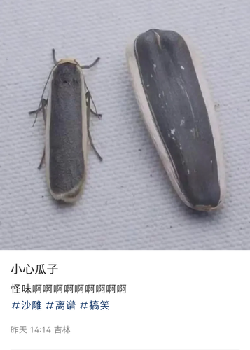 Screenshot 20240703 142743 com.xingin.xhs.png