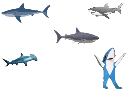 feesh removebg preview.png