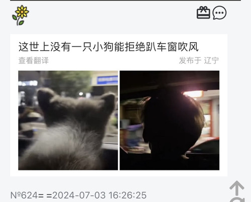 6CCF855F 6BFE 4F25 A9B1 EF36EEE02DC8.jpg