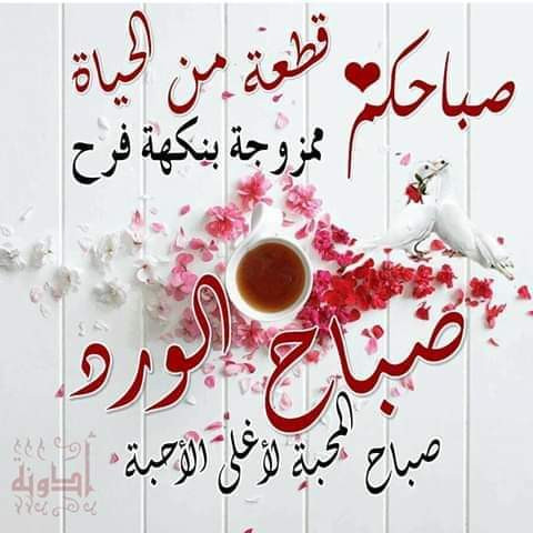 FB IMG 1719994387602.jpg