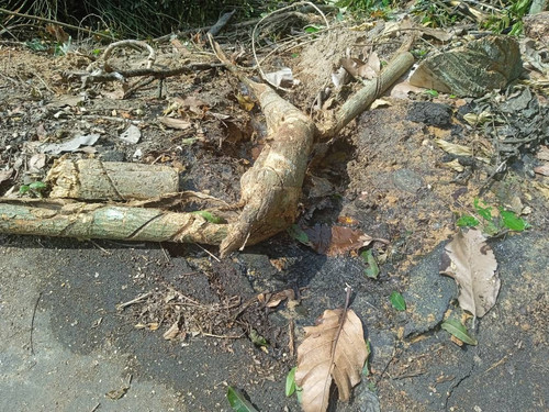 WhatsApp Image 2024 07 03 at 2.49.28 PM.jpg