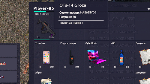 FiveM b2802 GTAProcess GjLpqbcMR4.png