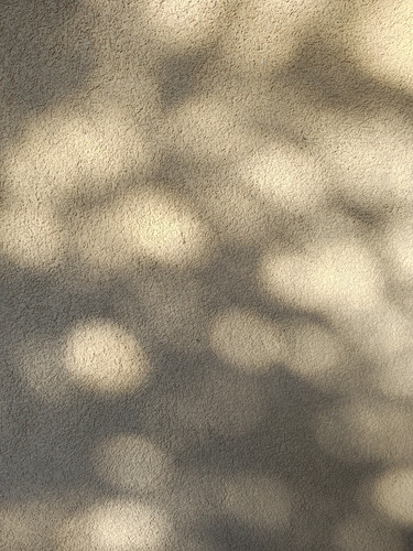 1000000121.jpg