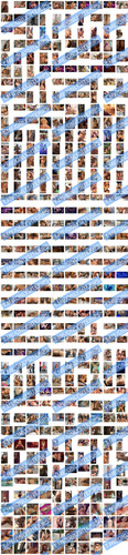 free thumbnail preview watermarked.jpg