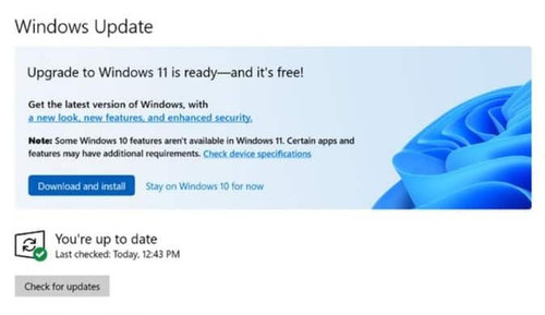 Microsoft Windows 11 update.jpg