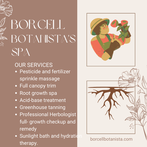 Bo tanista's SPA 1.png