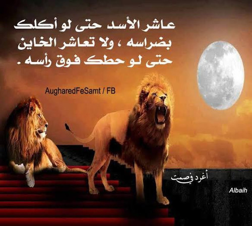 images 35.jpg