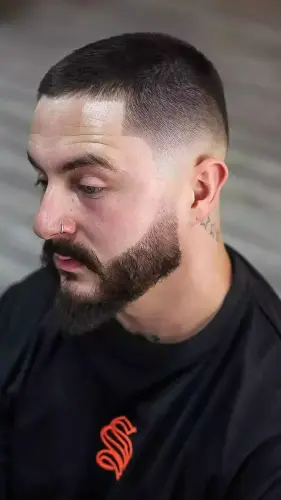 223. Mid Fade.webp