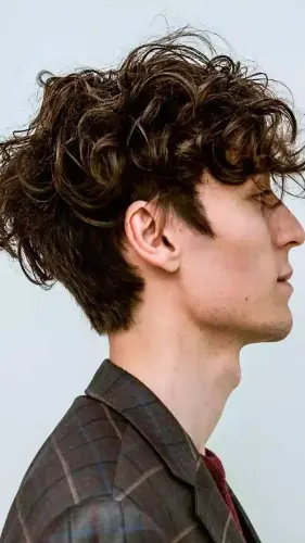 282. Tapered Curly.webp