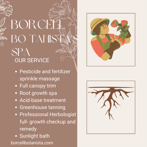 Bo tanista's SPA.png