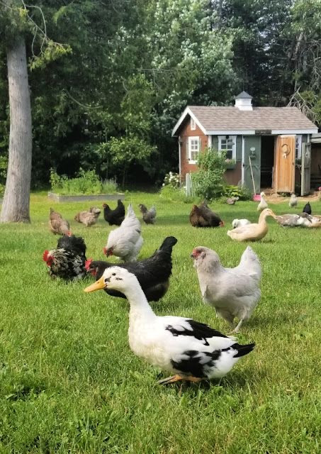 IMG 9539.jpg