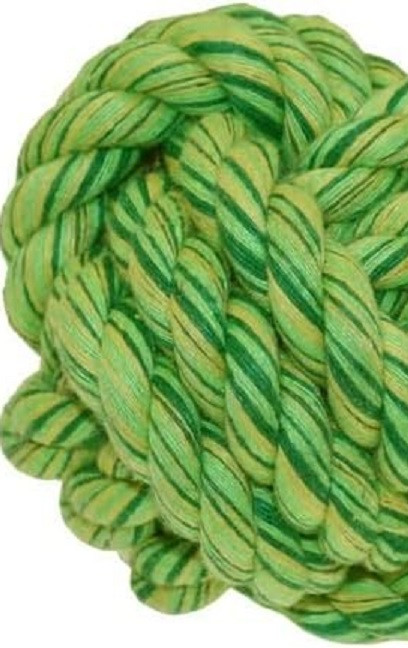 51qTXc4o9lL. AC SX679 (1).jpg