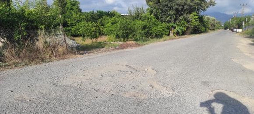 449791878 1031442652320331 5835757778876369607 n.jpg? nc cat=102&ccb=1 7& nc sid=833d8c& nc ohc=GiCc.jpg