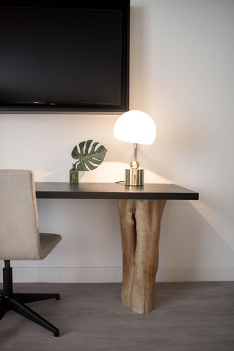Lampe 10000+ Element5.jpg
