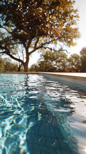 louispietsch 36677 backyard pool very clean pool ultra high q a6401ab2 e028 43d2 9917 21535741faea 1.png