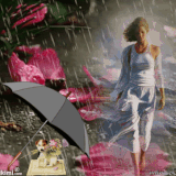 Digitale Fotoaart (3).gif