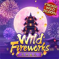 wild fireworks.jpg