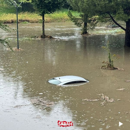 449791402 873007318187155 2162368789192080591 n.jpg?stp=dst jpg p600x600& nc cat=109&ccb=1 7& nc sid.jpg