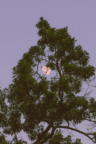 IMG 20240620 120815 674.jpg
