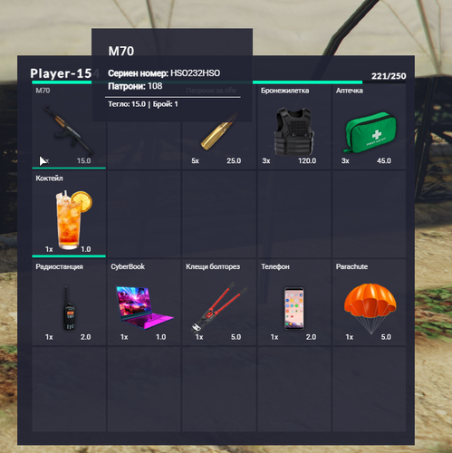 FiveM b2802 GTAProcess Zw2GNTu9Lh.png