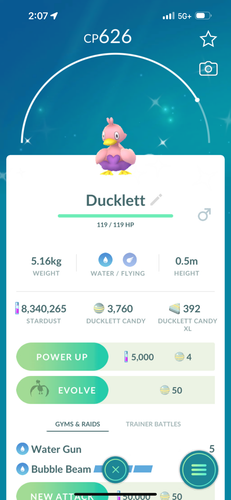 ducklett.png