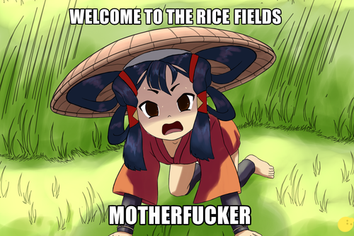 welcome to the rice fields.png