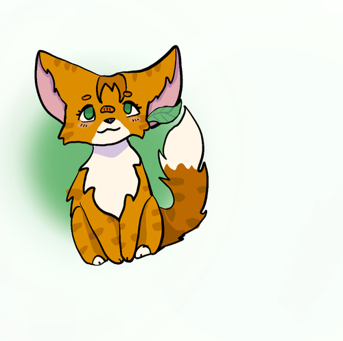 IMG 0214.png