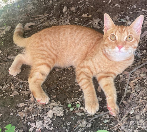 449680328 3675640426028420 4789105454303981677 n.jpg