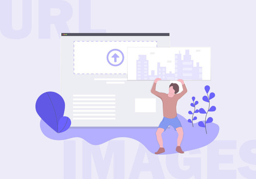 How to Get URLs of Images You Upload in WordPress 1024x717.jpg