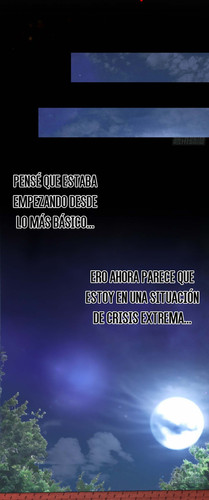 04.jpg