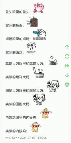 Screenshot 20240702 131616.jpg