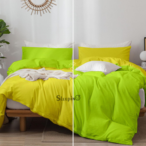 Yellow parrot 5.jpg