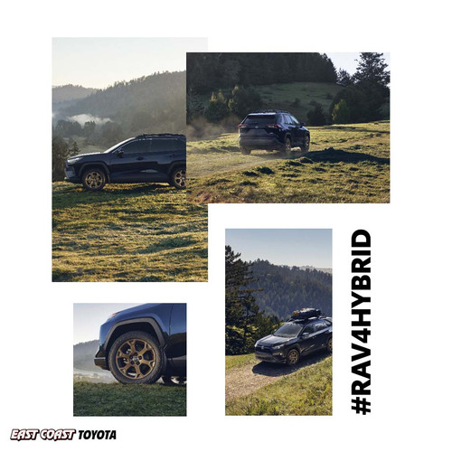 Used Cars For Sale.jpg