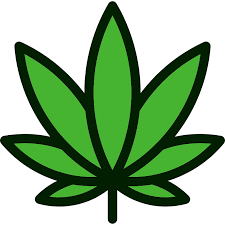 IMG 1382.png