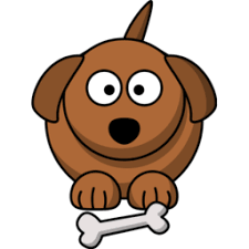 IMG 1390.png