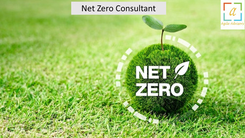 5.7.24nzconsultant.jpg