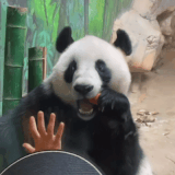 1325644202.gif
