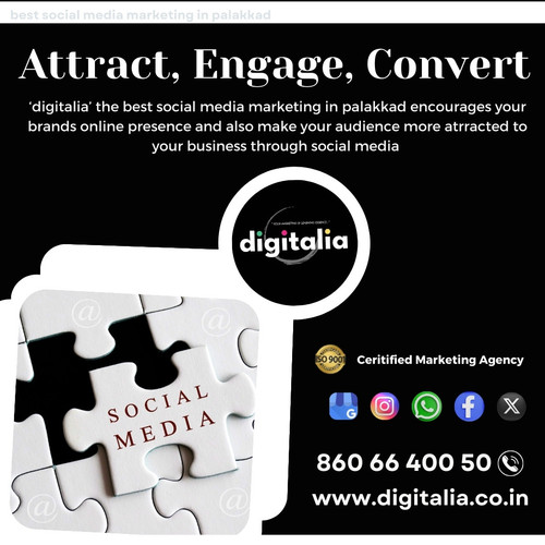Best social media marketing in Palakkad4.jpg