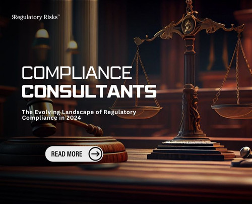 The Vital Role of the Regulatory Compliance Consultancy in 2024.jpg