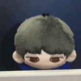IMG 4527.gif
