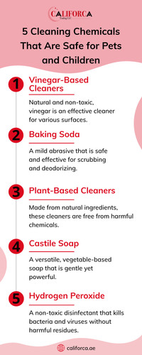 5 Cleaning Chemicals That Are Safe for Pets and Children.jpg
