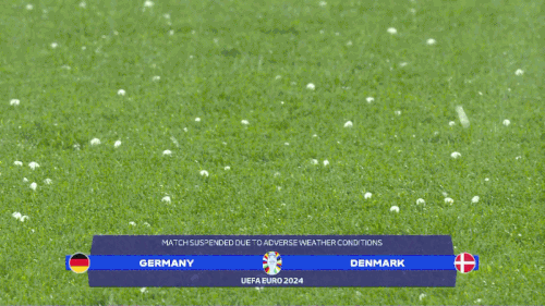 IMG 4396.gif