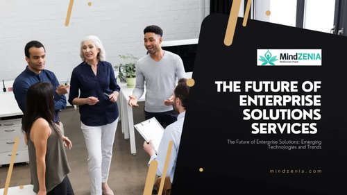 Enterprise Solutions Services | Mindzenia.png