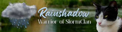 Rain signature.jpg
